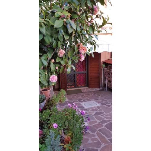B&B Vista su Roma