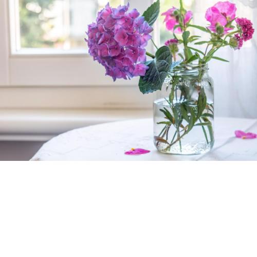 B&B Zenzero e Limone