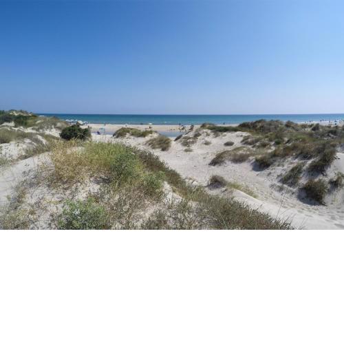 Beach and Relax m711