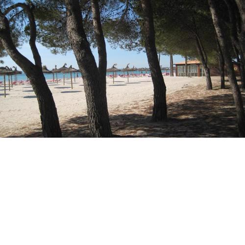 Beach Apartment Minerva