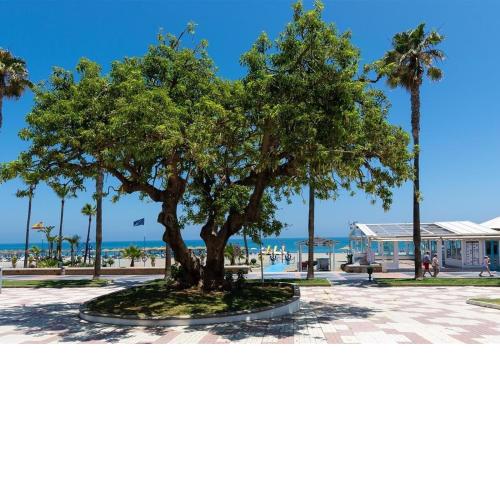 Beach Apartment Montemarcarihuela