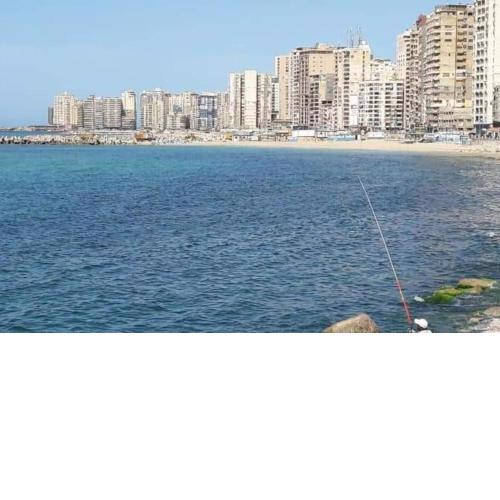 Beach Front - Free Wi-Fi - Alex