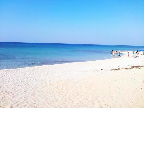 Beach House