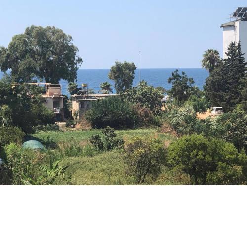 BeachFront Fully Equipped Luxury Residence D14N