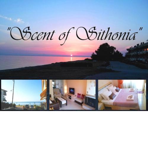 Beachfront SCENT OF SITHONIA with pool, Gerakini, Halikidiki