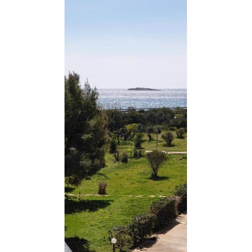 Beachfront/lagonisi/Sounio