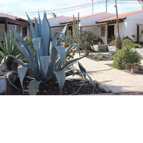 Beautiful 2-Bed Bungalow in Parque Holandes