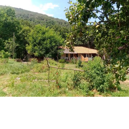 Beautiful apartment Casa o Rio in Ribeira sacra ES
