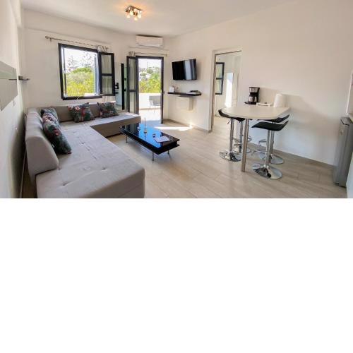 Beautiful Apartment in Platis Gialos