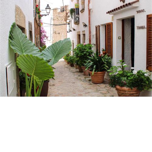 Beautiful apartment in Tossa de Mar with 2 Bedrooms and WiFi
