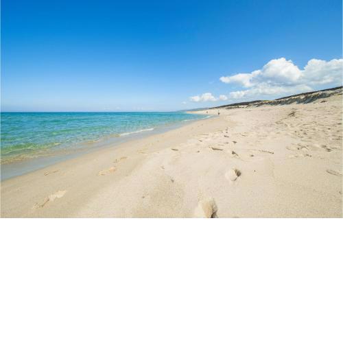 Beautiful apartment in Valledoria with 1 Bedrooms