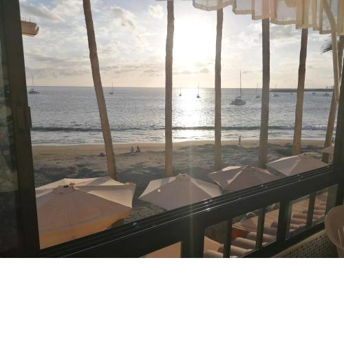 Beautiful apartment on the beachfront