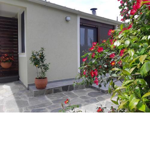 beautiful country house near the sea next to the forest!