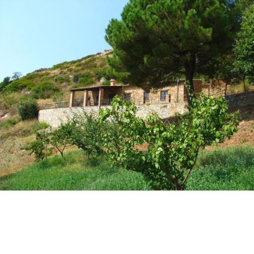 Beautiful Farmhouse in Cetraro with Terrace