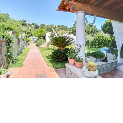 Beautiful home in Forio-Panza with 3 Bedrooms and WiFi