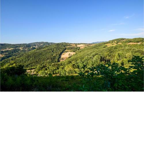 Beautiful home in Semproniano with WiFi and 3 Bedrooms