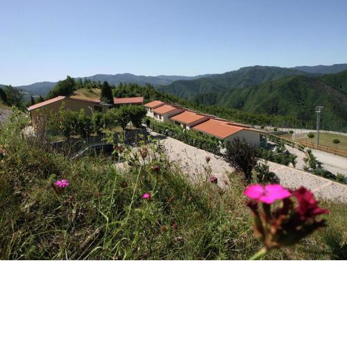 Beautiful home with terrace, located in nature