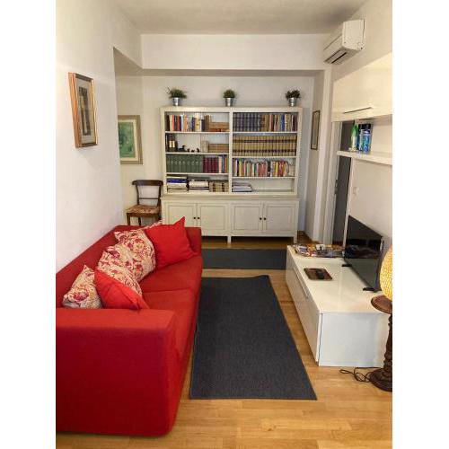 Beautiful new apartment, near Torre di Pisa
