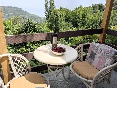 Beautiful Pelion Guesthouse with Spectacular Views