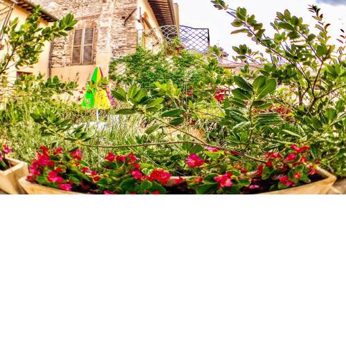 Beautiful terrace in Spoleto Italy