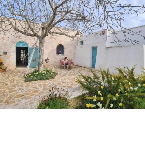Beautiful trulli property with annex in Locorotondo