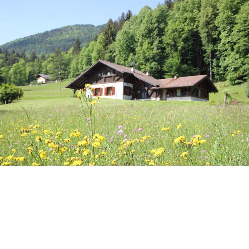 Bed and Breakfast Cappeler