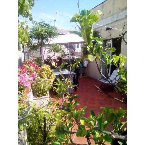 bed and breakfast " La Terrazza"