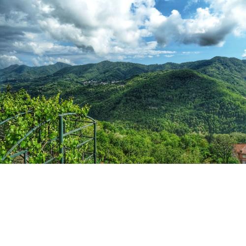 Bed and Breakfast Le Quattro Stagioni