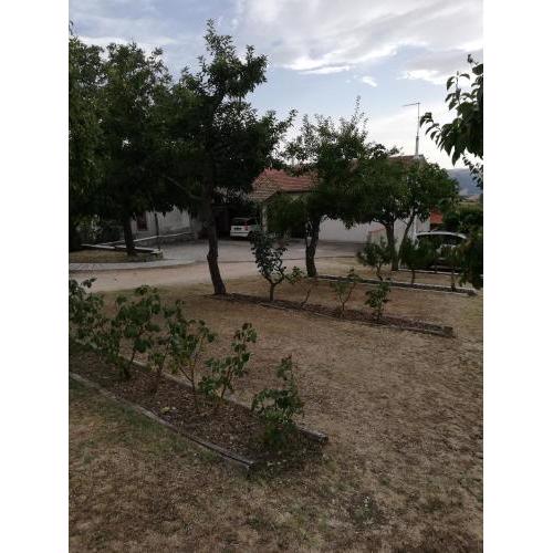 Bed and Breakfast "POGGIO MARANO"