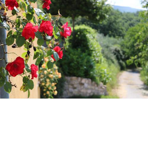 Bed & Breakfast Casa Lisetta
