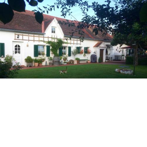 Bed & Breakfast Chez Lips