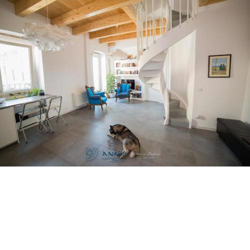 Bed & breakfast La Nassa