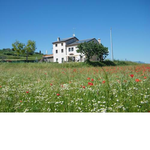Bed & Breakfast Le Coste