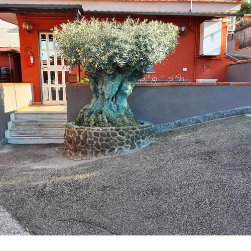 Bed & Breakfast Neapolis