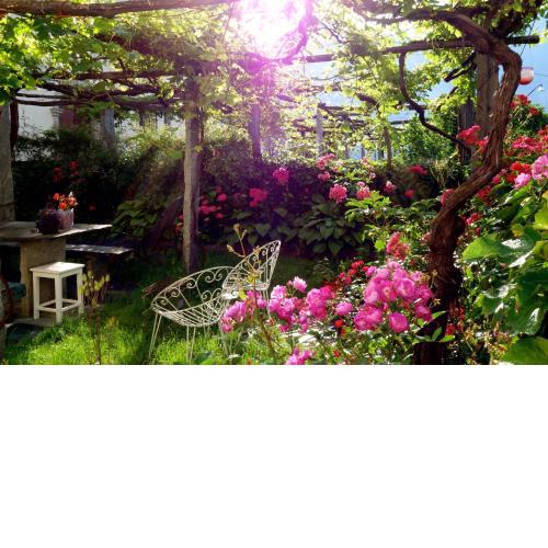 Bed & Breakfast Uvablu