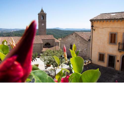Bed & Breakfast Zia Menga - Luogosanto Sardinia