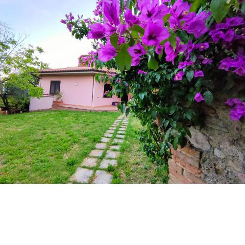 Bella Vista - Belvedere