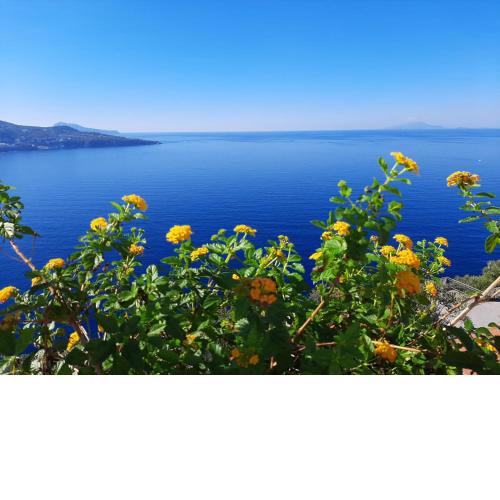 Bella Vista House-Sorrento coast - free parking-solarium