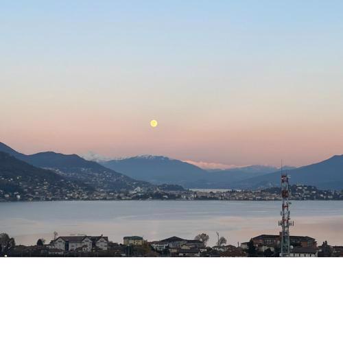 Bella Vista