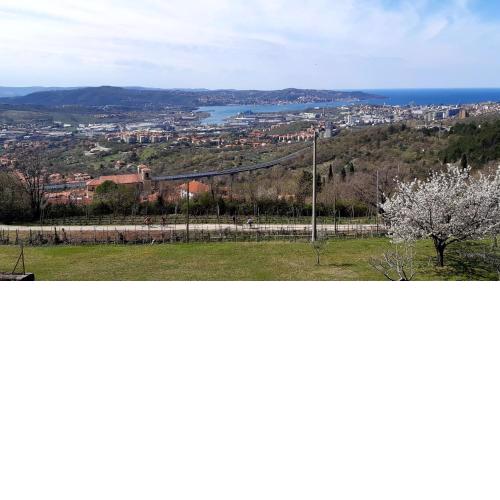 Bellavista Trieste