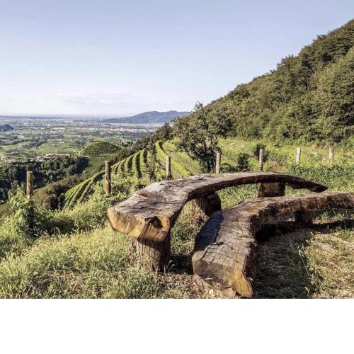 Bellavista