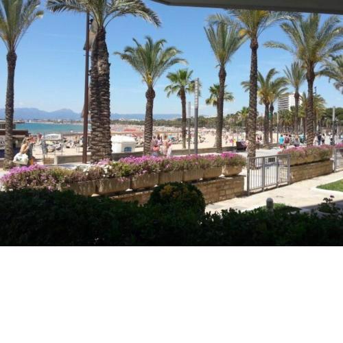 Bello Horizonte Frontbeach