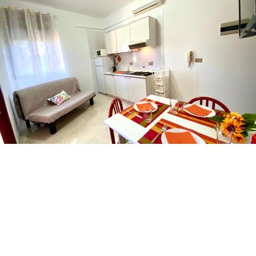 Belvedere Home