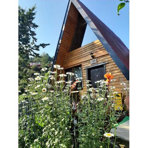 Bera Bungalov