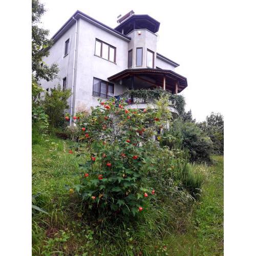 Berat house 2