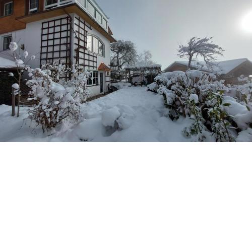 Bergblick - Mountainview