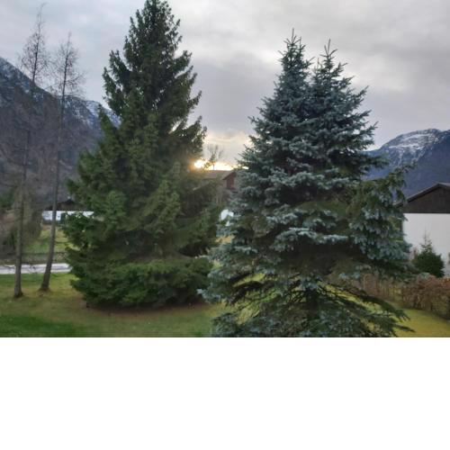 BERGBLICK