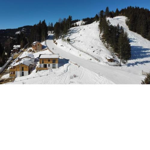 Berglisl