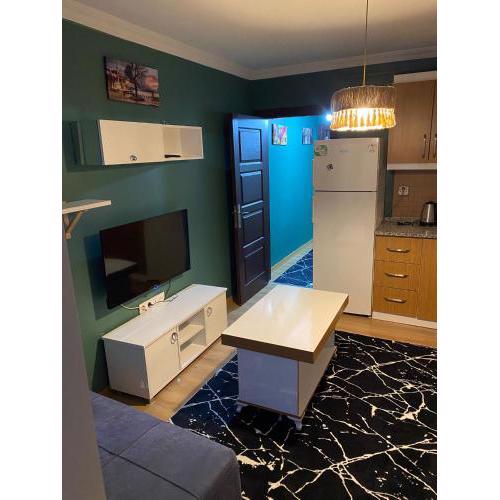 beşiktaş ortaköyde 1+1 ev daire