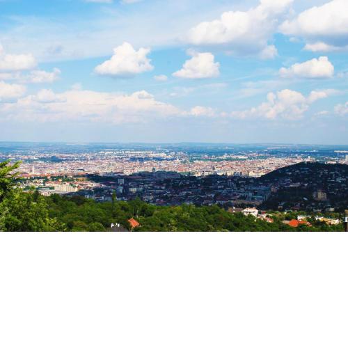 Best VIEW Öko-Vintage Apartment free parking self check-in
